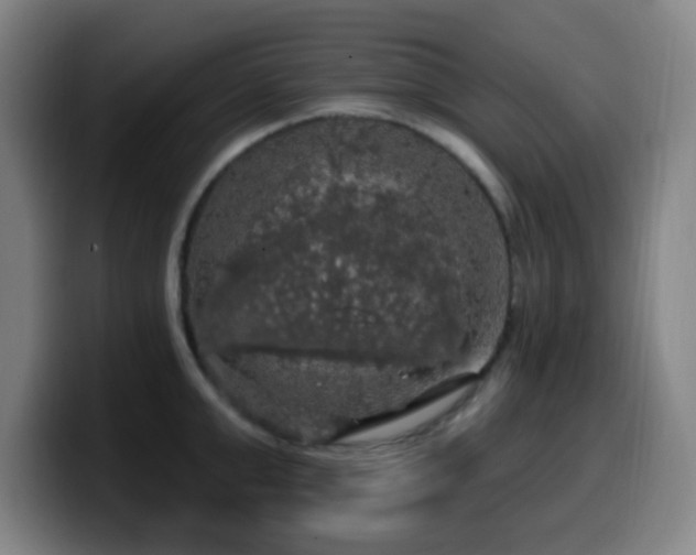 X0000099950999200805301233