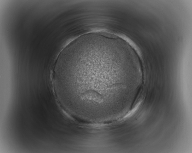 X0000099951001200805301233