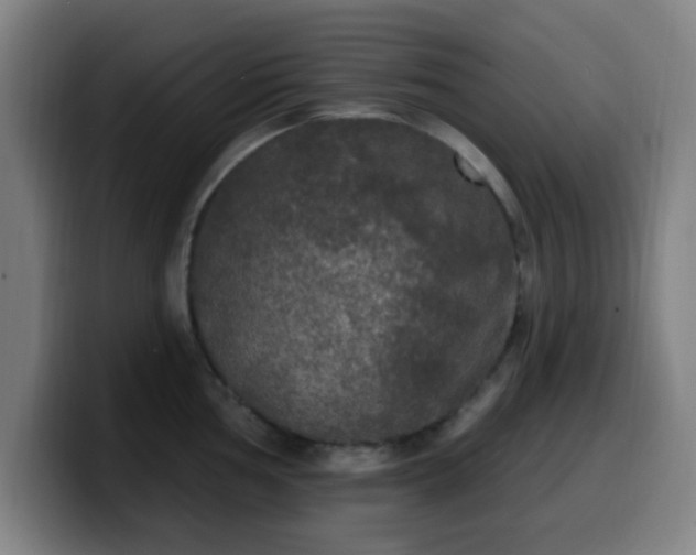 X0000099951002200805301233