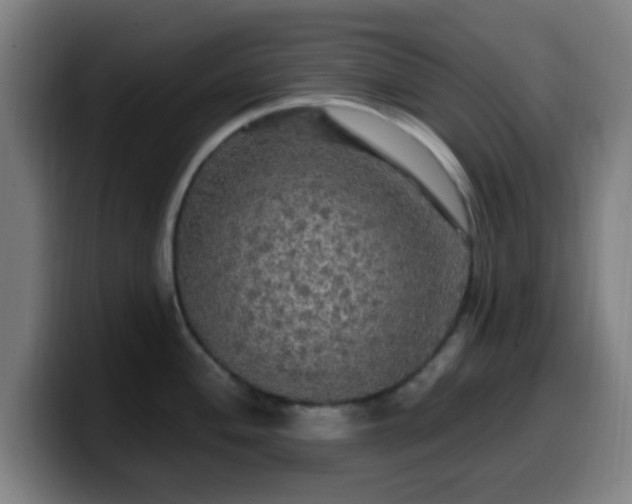 X0000099951004200805301233