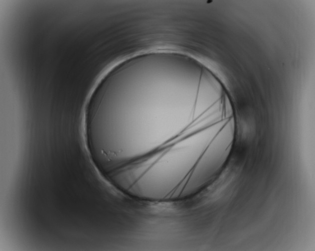 X0000099951006200805301233