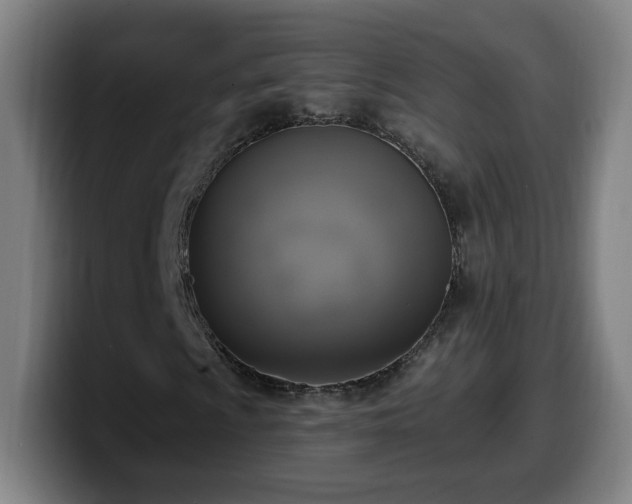 X0000099951009200805301232