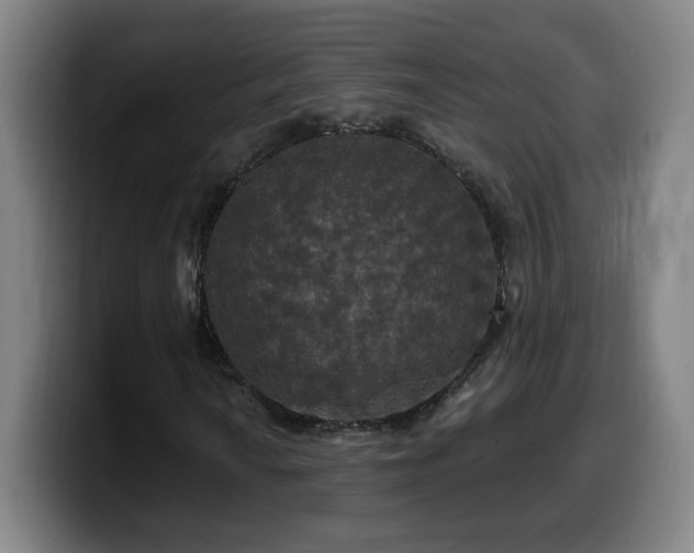 X0000099951010200805301232