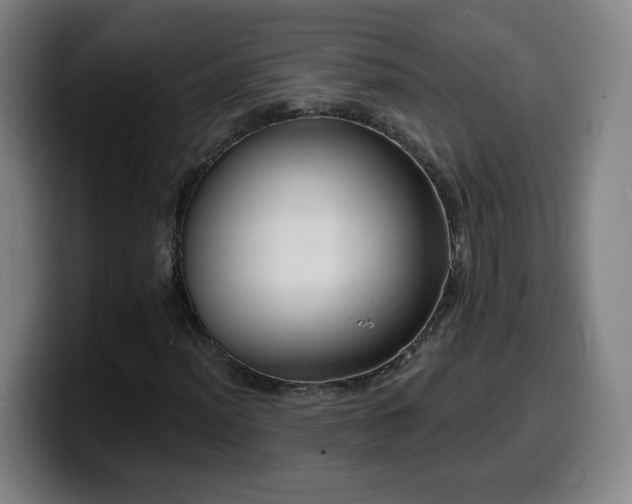 X0000099951012200805301232