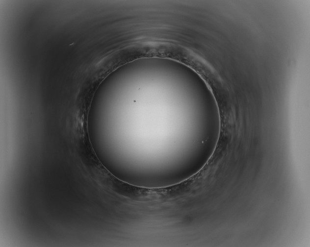 X0000099951013200805301232