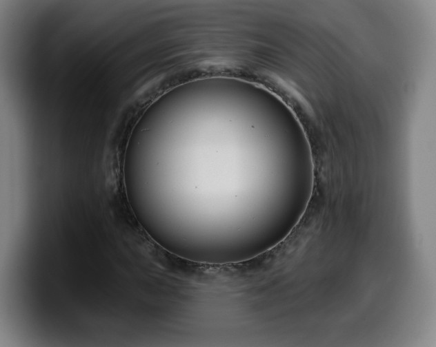 X0000099951015200805301232