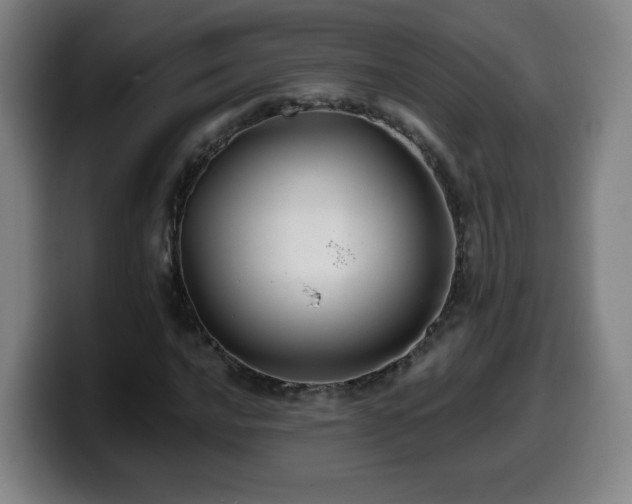 X0000099951016200805301232
