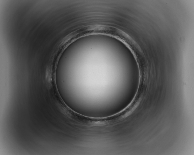 X0000099951017200805301232