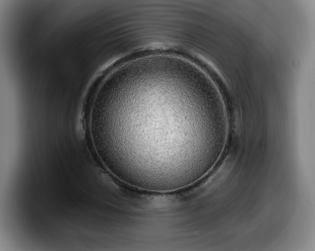 X0000099951018200805301232