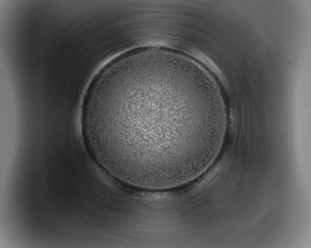 X0000099951020200805301232