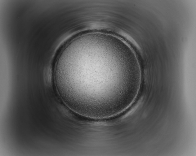 X0000099951021200805301232