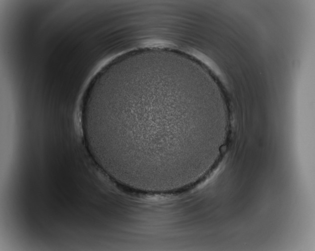 X0000099951022200805301232