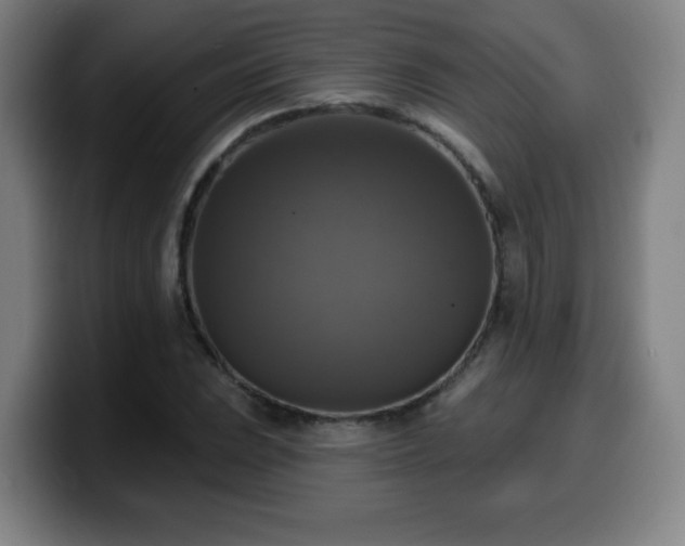 X0000099951023200805301232