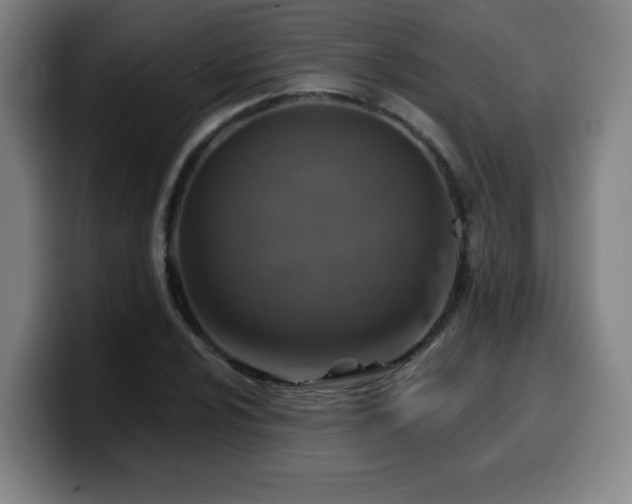 X0000099951024200805301232