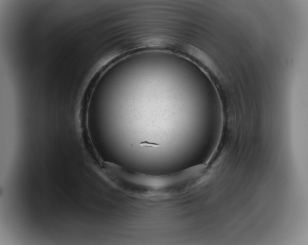 X0000099951026200805301232