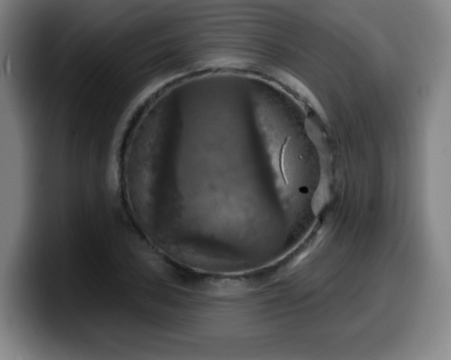 X0000099951027200805301232