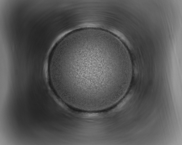 X0000099951030200805301232