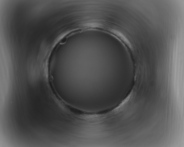 X0000099951031200805301232