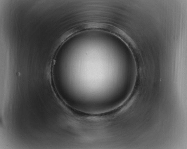 X0000099951033200805301232
