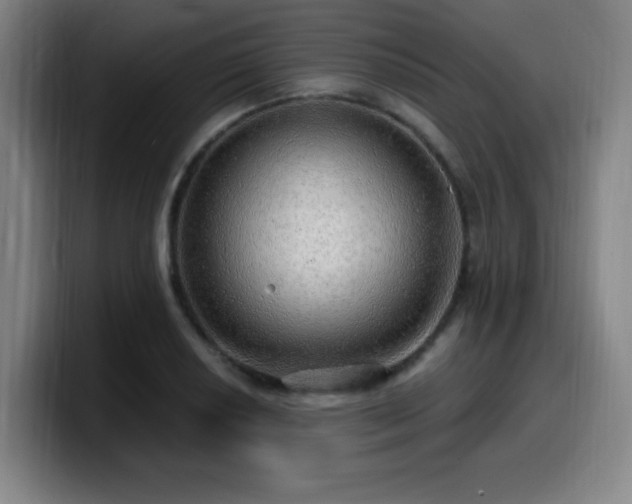X0000099951034200805301232