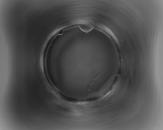 X0000099951035200805301232
