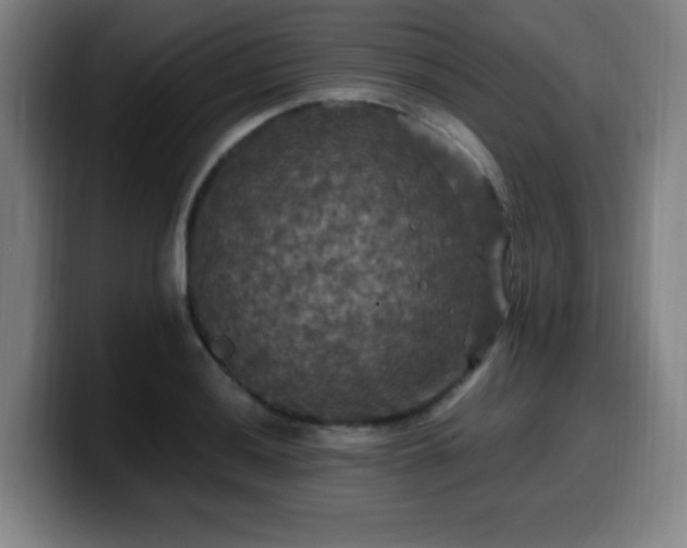 X0000099951036200805301232