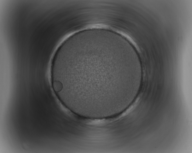 X0000099951038200805301232