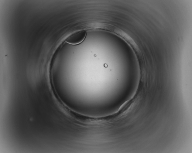 X0000099951039200805301232