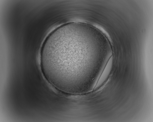 X0000099951040200805301232