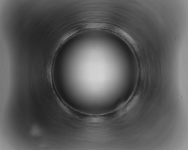X0000099951041200805301232