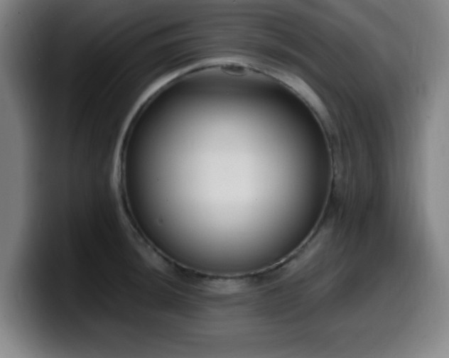 X0000099951044200805301232