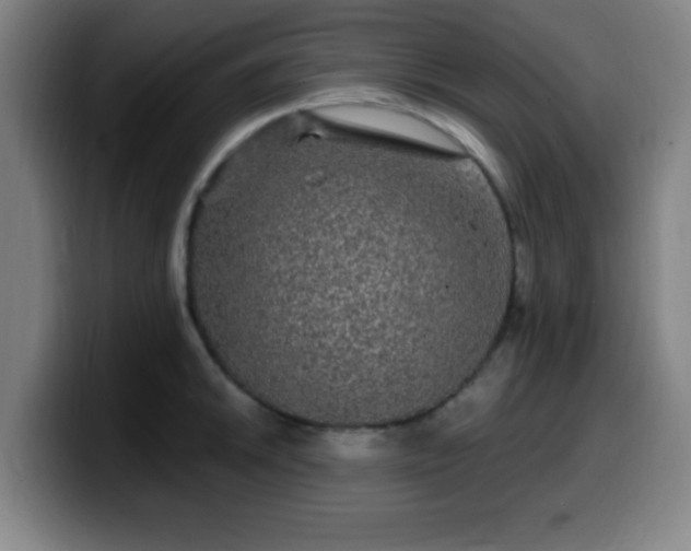 X0000099951046200805301232
