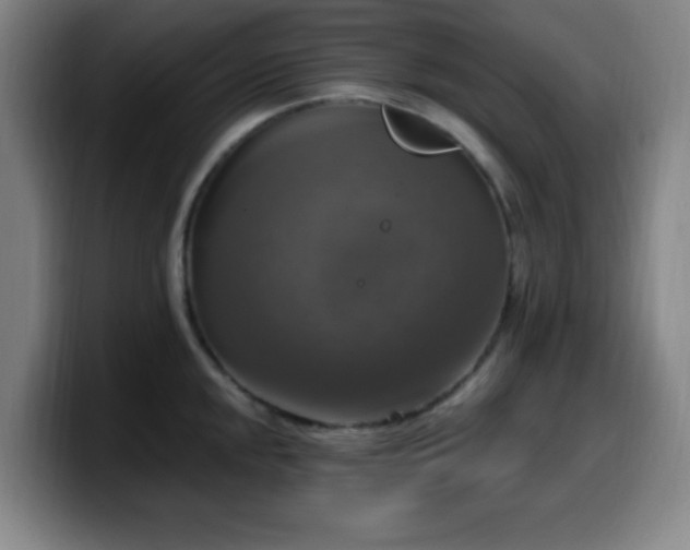 X0000099951048200805301233