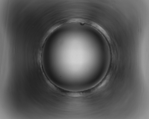 X0000099951049200805301233