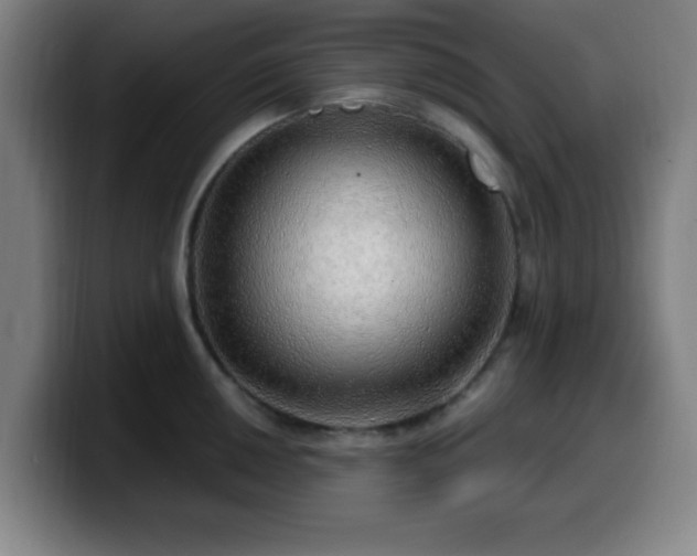 X0000099951050200805301233