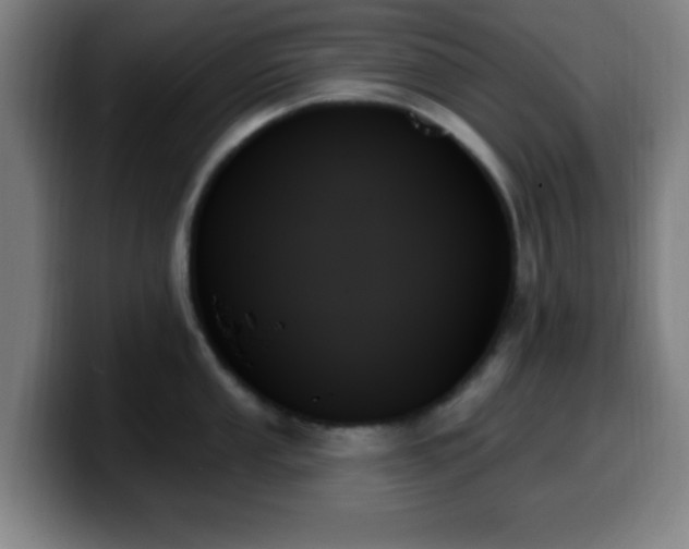 X0000099951053200805301233