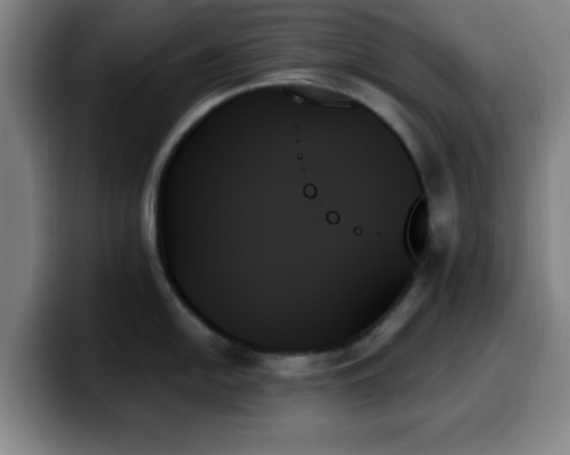 X0000099951054200805301233