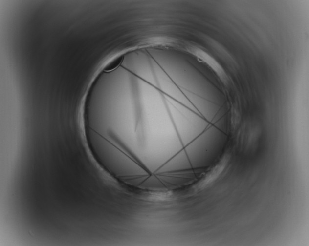 X0000099951055200805301233