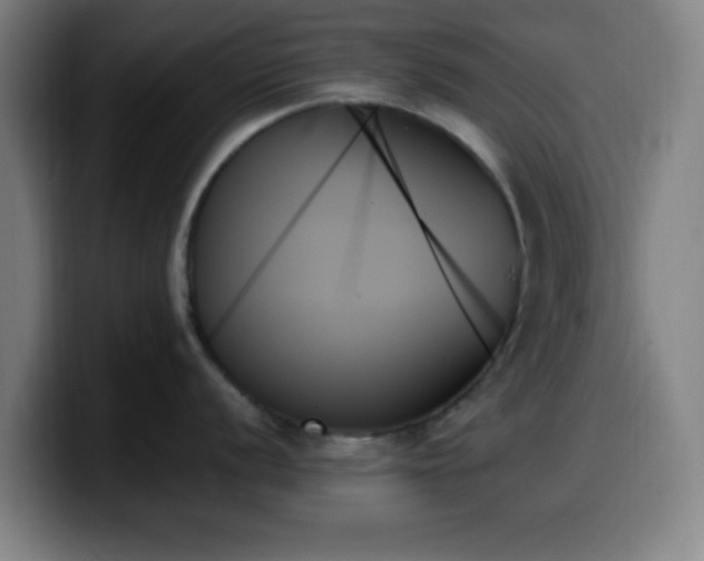 X0000099951056200805301233