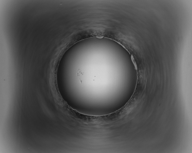 X0000099951057200805301232