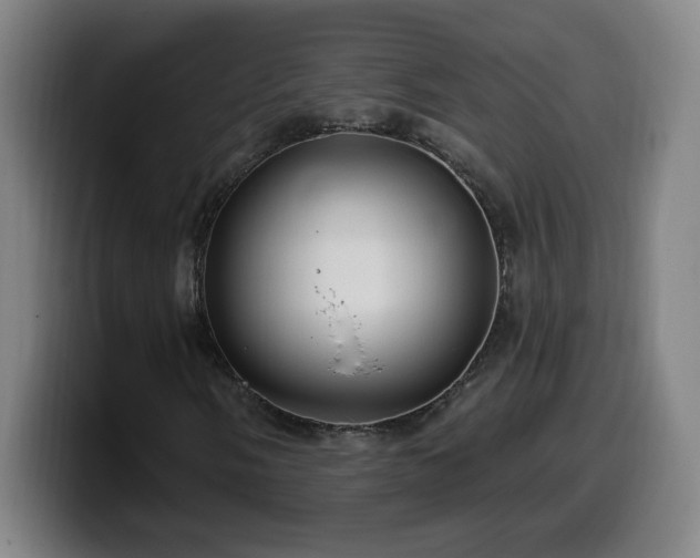 X0000099951058200805301232