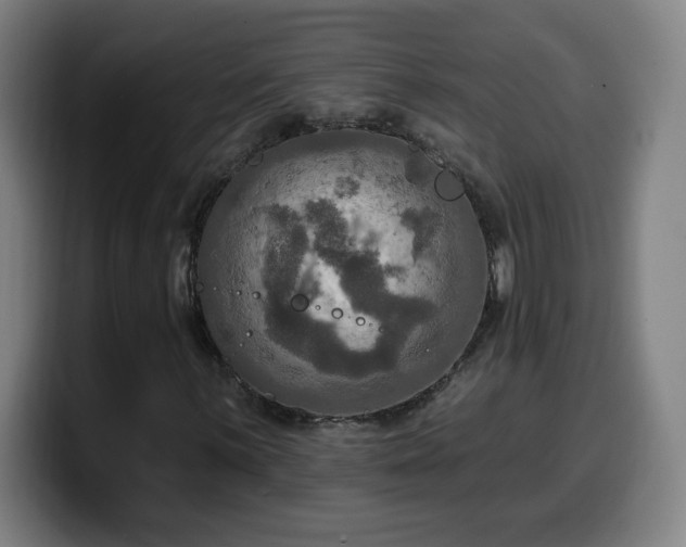 X0000099951059200805301232