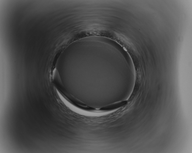 X0000099951060200805301232