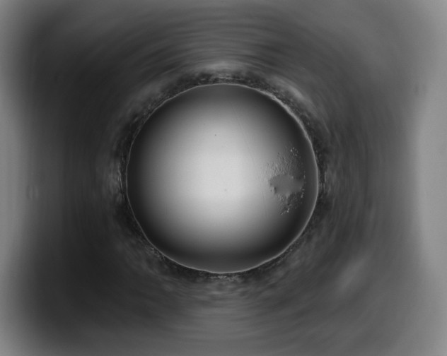 X0000099951062200805301232