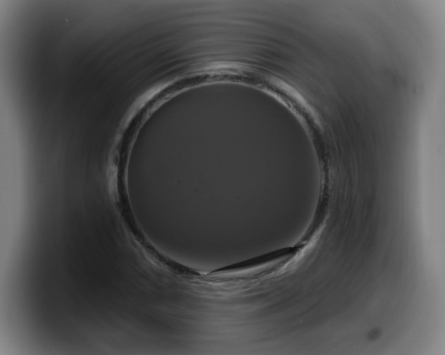 X0000099951066200805301232