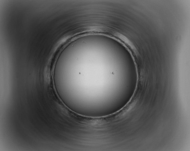 X0000099951067200805301232