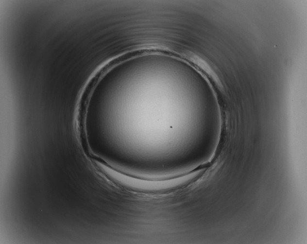 X0000099951068200805301232