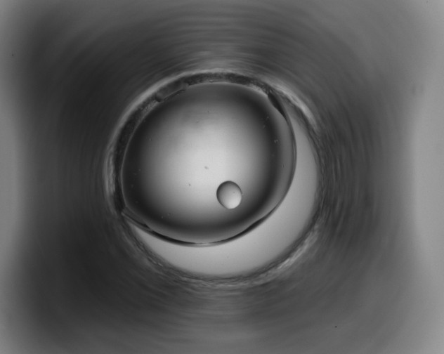 X0000099951069200805301232