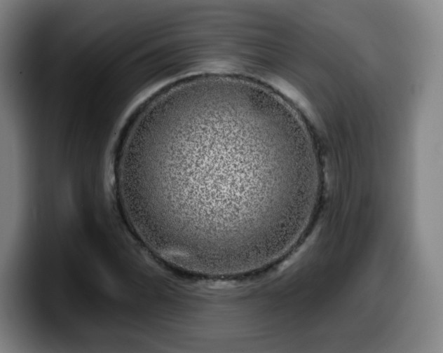 X0000099951070200805301232