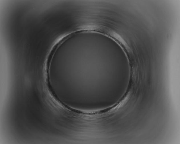 X0000099951071200805301232